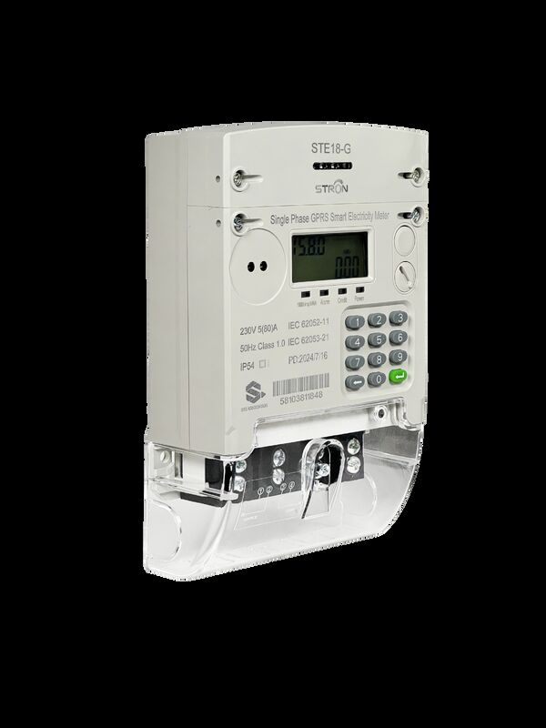 Plug-and-Play Modular Single-Phase GPRS Meter - 8-Year Battery Life, Bidirectional Metering & API Integration Capability