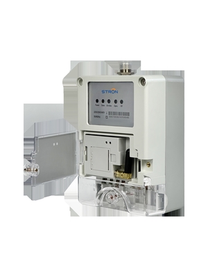 Концентратор данных LoRa-RF для интеллектуальных счетчиков (300 единиц, GPRS, 433/915 МГц, IP54)